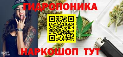 бошки Ливны